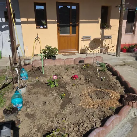 Balkan Hideaway Self Check-in * Timisoara