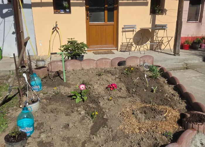 Balkan Hideaway Self Check-in * Timişoara